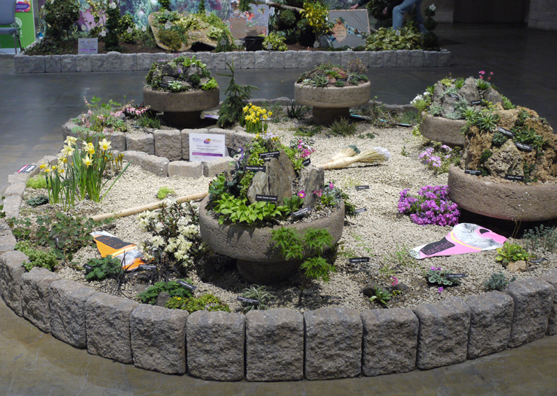 our flower show exhibit